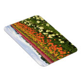 オレゴン，美しいチューリップフィールド マグネット (右側)