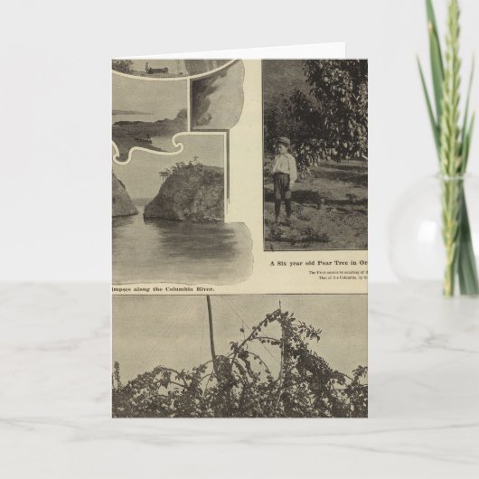 オレゴン、見込み客が喜ぶ場所 カード (正面)