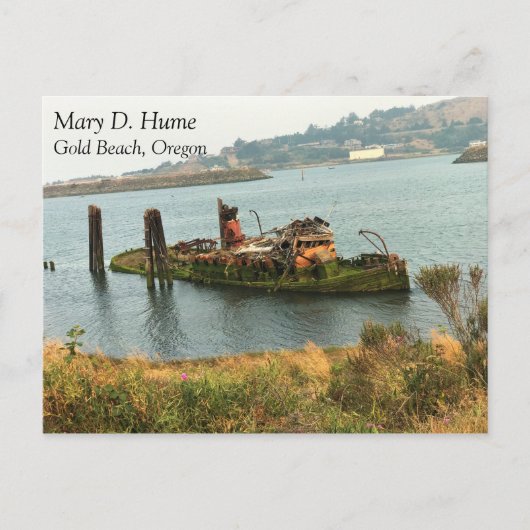 オレゴン，金ゴールドビーチ, Mary D. Hume ポストカード (正面)
