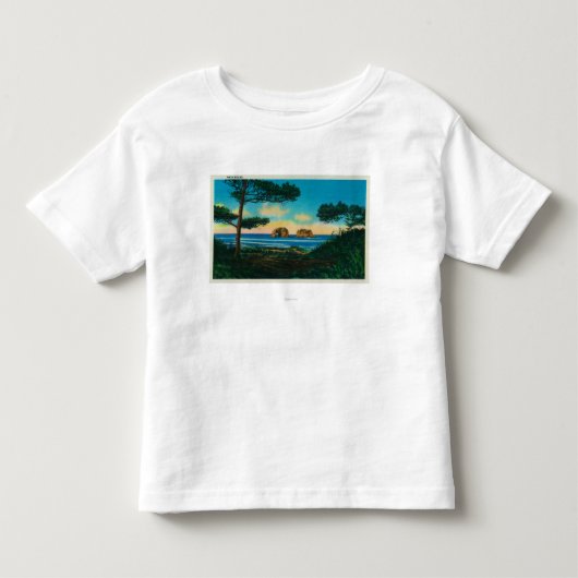 オレゴンCoastCoastの対の石 トドラーTシャツ (正面)