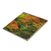 オレゴ日本のン2州ポートランドの秋の庭園 タイル (側面)