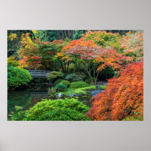 オレゴ日本のン3州ポートランドの秋の庭園 ポスター