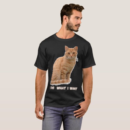 オレンおもしろいジ色のタビー猫好きの贈り物 Tシャツ (正面フル)