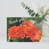 オレンかわいらしジゲルベラデイジー写真手書きタ サンキューカード (スタンド正面)