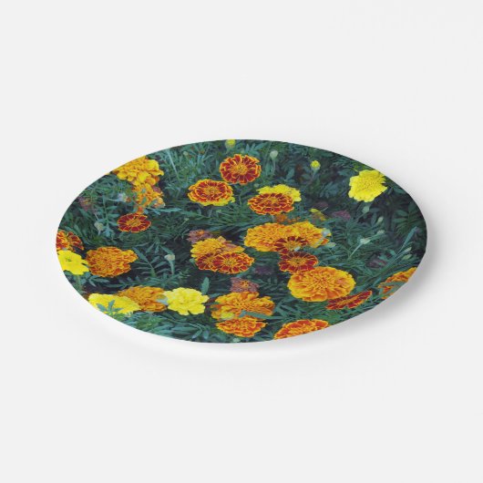 オレンかわいらしジマリゴールドフローラ写真 ペーパープレート (アングル)