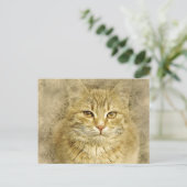 オレンかわいらしジ子猫 |抽象芸術 |水彩 ポストカード (スタンド正面)