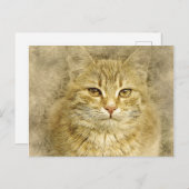 オレンかわいらしジ子猫 |抽象芸術 |水彩 ポストカード (正面/裏面)