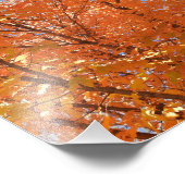 オレンかわいらしジ紅葉 フォトプリント            (角)