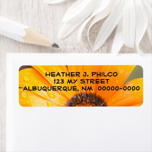 オレンはっきりしたジウェットデイジーハーフクローズアップ写真 ラベル (インサイチュ)