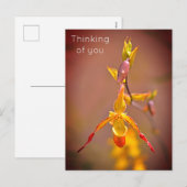 オレンエレガントジイエローラン考えるキッズオブユー シーズンポストカード (正面/裏面)