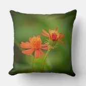 オレンエレガントジフローラ装飾用クッション クッション (正面)