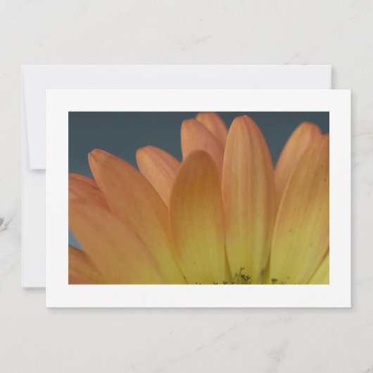 オレンエレガントジペタルカスタム招待状 招待状 (正面)