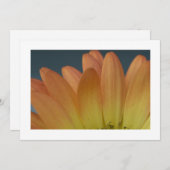 オレンエレガントジペタルカスタム招待状 招待状 (正面/裏面)