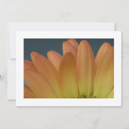 オレンエレガントジペタルカスタム招待状 招待状