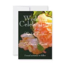 オレンエレガントジライトピーチバラ