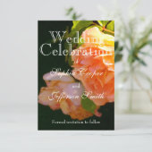 オレンエレガントジライトピーチバラ セーブザデート (スタンド正面)