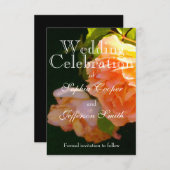 オレンエレガントジライトピーチバラ セーブザデート (正面/裏面)