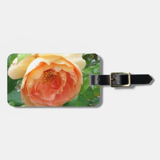 オレンエレガントジ赤面バラ ラゲッジタグ (正面横)