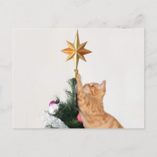オレンジいけな虎猫クリスマス シーズンポストカード