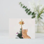 オレンジいけな虎猫クリスマス シーズンポストカード (スタンド正面)