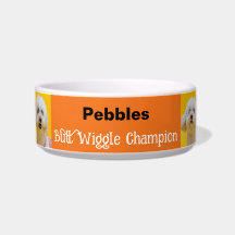 オレンジおもしろいお尻ウィグルチャンピオン