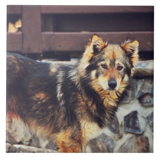 オレンジおよび憂うつ タイル (正面)