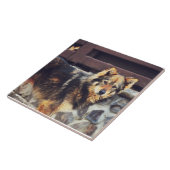 オレンジおよび憂うつ タイル (側面)