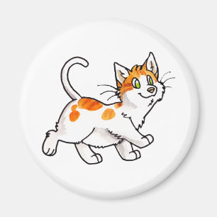 オレンジおよび白い子猫 マグネット