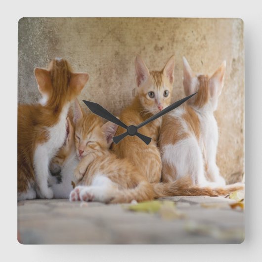 オレンジおよび白い虎猫の子ネコはまたはあなたのペットの写真を加えます スクエア壁時計 (正面)