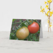 オレンジおよび赤いトマトの挨拶状 カード (黄色い花)