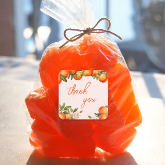 オレンジかわいこちゃんありがとう スクエアシール