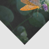 オレンジかわいらし色の蝶フローラ写真 薄葉紙 (詳細)