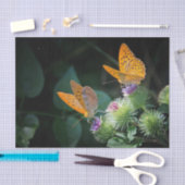 オレンジかわいらし色の蝶フローラ写真 薄葉紙 (クラフト)