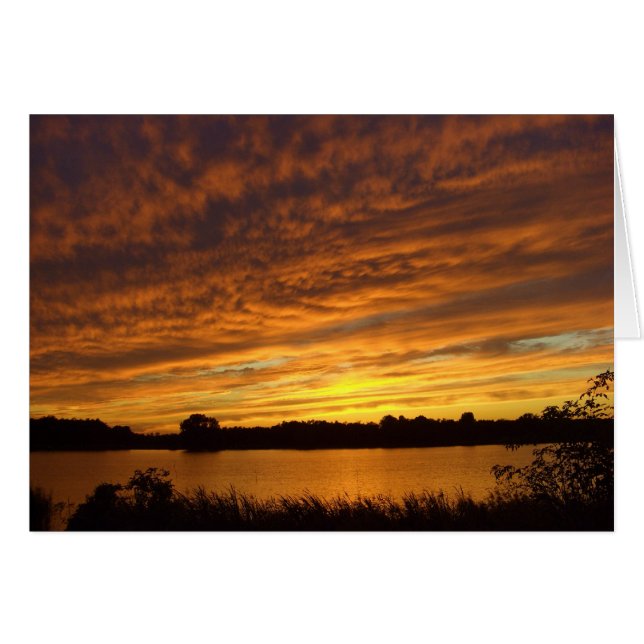 オレンジそれを絵を描いて下さい (正面横)