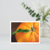 オレンジでよかった? ポストカード (スタンド正面)