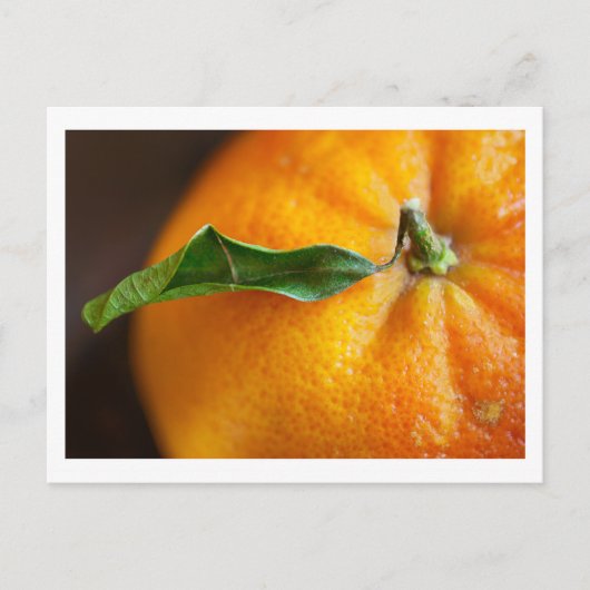オレンジでよかった? ポストカード (正面)