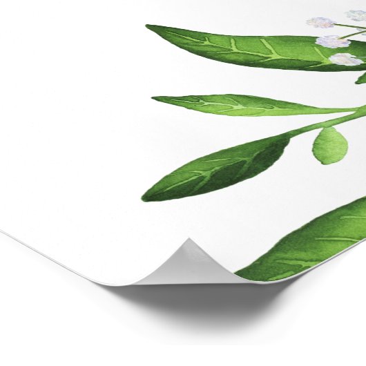 オレンジとグレープフルーツ夏の赤ちゃんシャワー ポスター