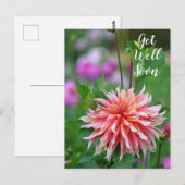 オレンジとピンクのダリアの花　回復祝い ポストカード (正面/裏面)