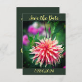 オレンジとピンクのダリアの花 Save the Date セーブザデート (正面/裏面)