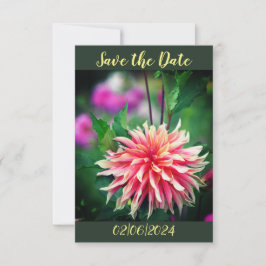 オレンジとピンクのダリアの花 Save the Date セーブザデート