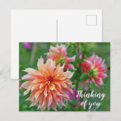 オレンジとピンクのダリア考えるフラワーズ ポストカード (正面/裏面)