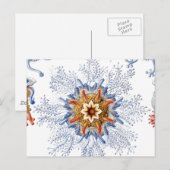 オレンジとブルーのクラゲ ポストカード (正面/裏面)