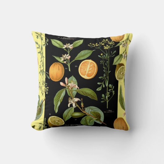 オレンジとレモンのヴィンテージ（黄色アクセント） クッション (正面)