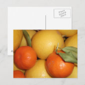 オレンジとレモン ポストカード (正面/裏面)