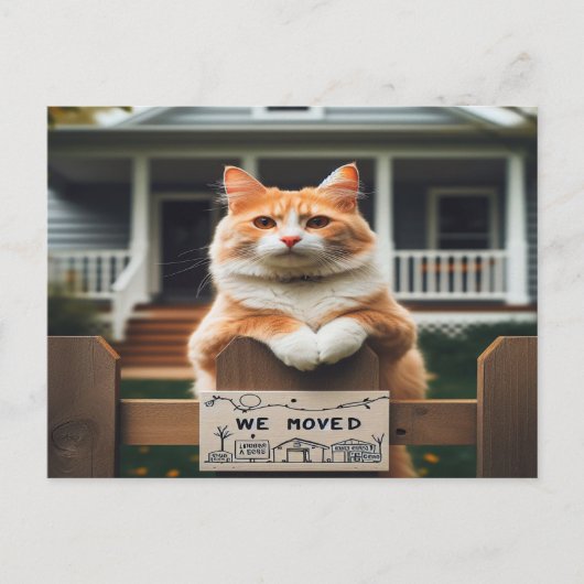 オレンジと白のトムの猫を移動 案内ポストカード (正面)