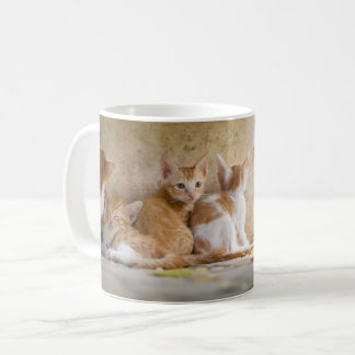オレンジと白のトラ柄の子猫/ペットの写真を追加 コーヒーマグカップ