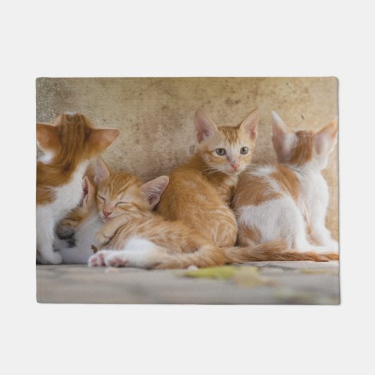オレンジと白のトラ柄の子猫/ペットの写真を追加 ドアマット (正面)