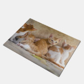 オレンジと白のトラ柄の子猫/ペットの写真を追加 ドアマット (アングル)