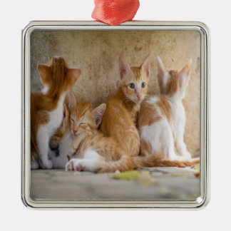 オレンジと白のトラ柄の子猫/ペットの写真を追加 メタルオーナメント