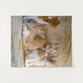 オレンジと白のトラ猫の子猫+ペットの写真を追加 タペストリー (正面(横))